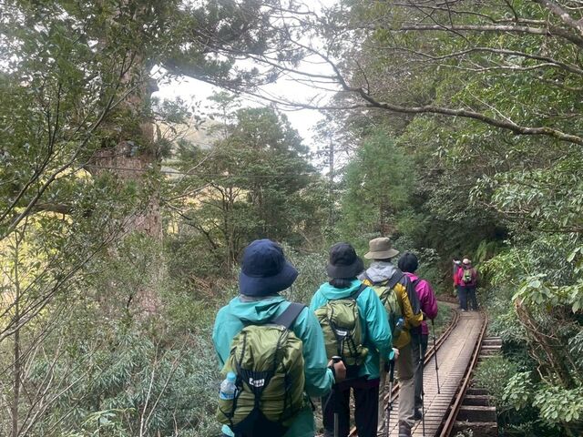 �K�C�h���񂪎B���Ă��ꂽ�g���b�R���A�蓹�̉Ƒ��ʐ^_Yamakara���v��