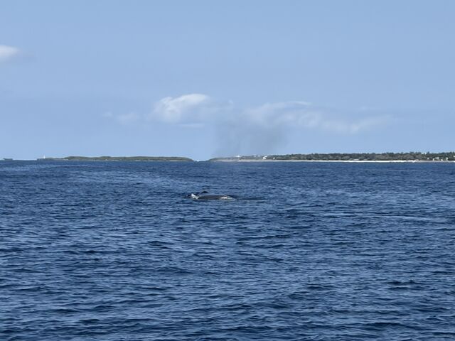 �e�q�~������܂����I_TRY ANGLE