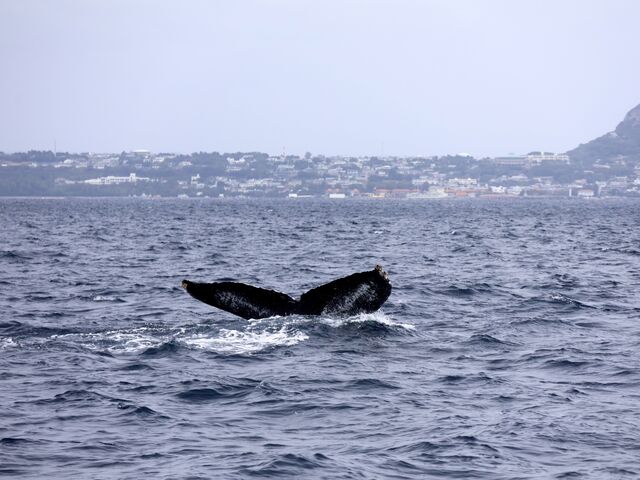 �������茩�邱�Ƃ��ł��܂����I_TRY ANGLE