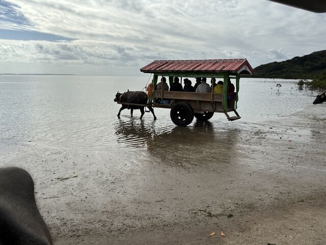 ������_�Ί_���h���[���ό�