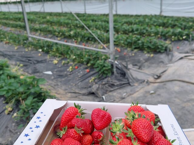 ���ނ̂�����_�x�_��