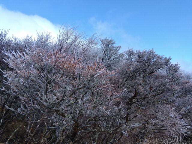 �}�ɐG���Ƃ����ς������Ă��܂���_�ʕ{���[�v�E�F�C