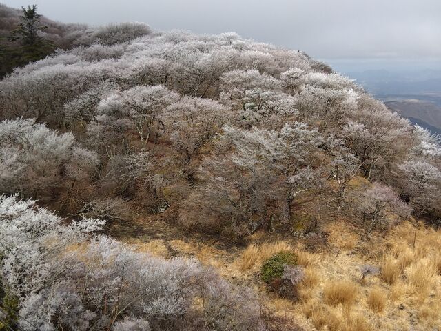 �ʐ^�����������ꂢ_�ʕ{���[�v�E�F�C