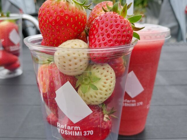 ���������ƃX���[�W�[_Refarm YOSHIMI 370