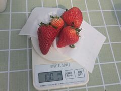 �T���x���[�_���̎ʐ^1