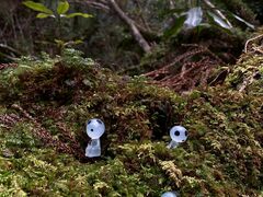 Yamakara���v���̎ʐ^2