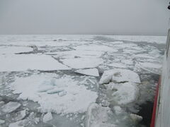 �ԑ����X�ό��ӕX�D���[���̎ʐ^2