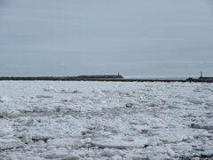 �ԑ����X�ό��ӕX�D���[���̎ʐ^5