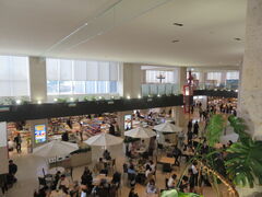 �L������̓�ʓ��Ί_��`�ւ̓��e�ʐ^1