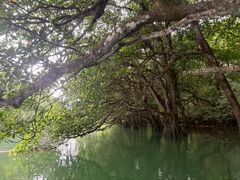 �҂낵������̐Ί_�� ADVENTURE PiPi�ւ̓��e�ʐ^1