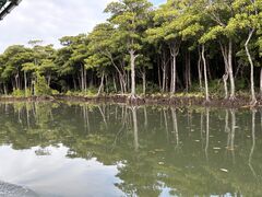 �Ί_���h���[���ό��̎ʐ^1