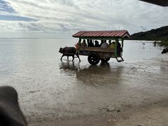 �Ί_���h���[���ό��̎ʐ^2