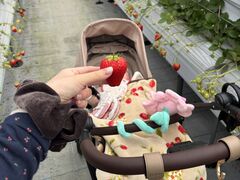 �Ȃ�������̂Ƃ悭�ɂӂ��[�ފό��_���ւ̓��e�ʐ^1