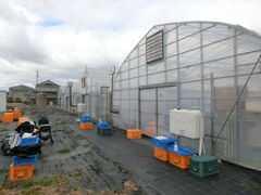 ���є_���̎ʐ^1