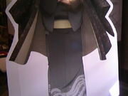 �T���v������̓���s�ό�����̓��e�ʐ^2