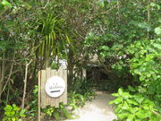 �L������̏{�Ƃ΂񂿂��̓��e�ʐ^2