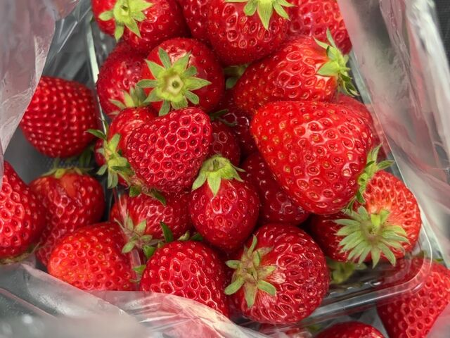 �E�񂾂�܂ɓ���Ă��炦�܂�_�������_�� MIYAFARM