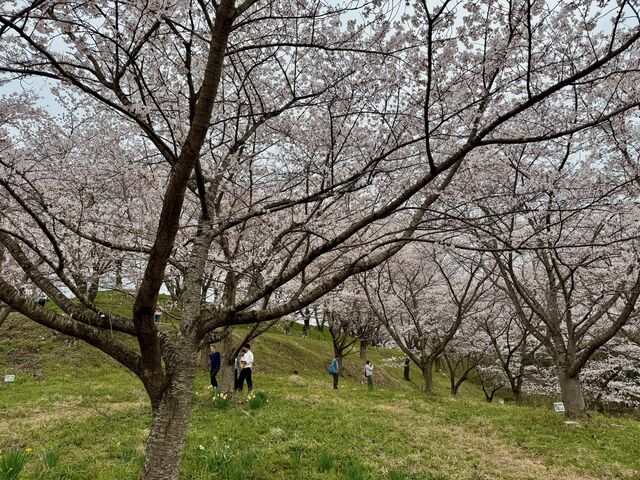 ZUNDAM����̍g������{���̓��e�ʐ^2