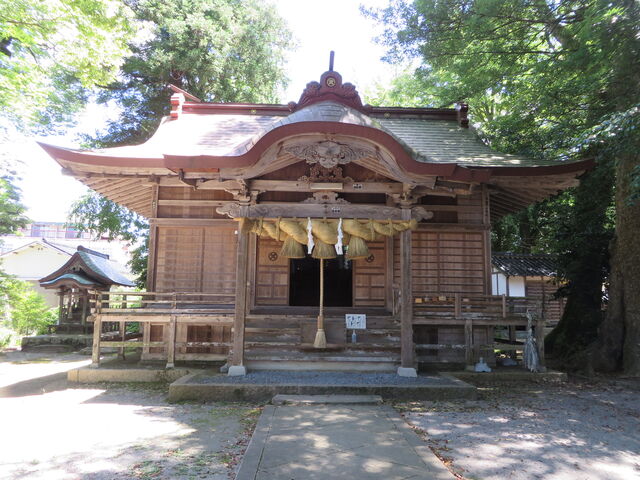 �q�a_�O���_��