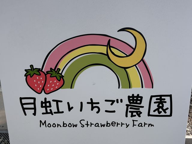 �_���̖��O�܂�
���킢���X�e�L_�y��؁z�����������_��