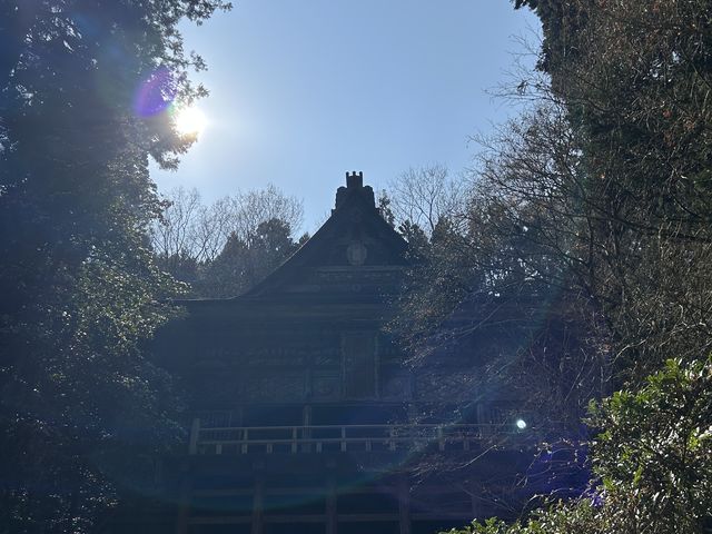 ���[����񂳂�̐������i�V�������n�s�j�̓��e�ʐ^1