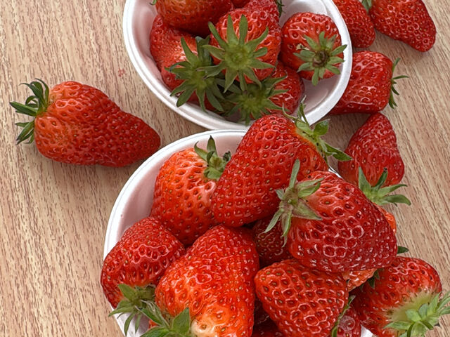 ������\( �L��` )/_���������z�C��