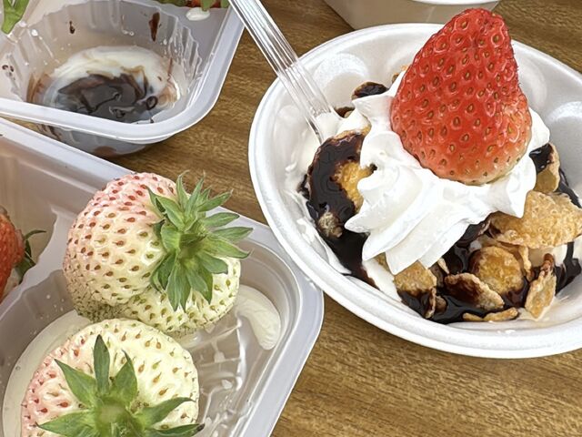 �ꏏ�ɍs�����F�l�ƃp�t�F�����܂���\( �L��` )/_���������z�C��