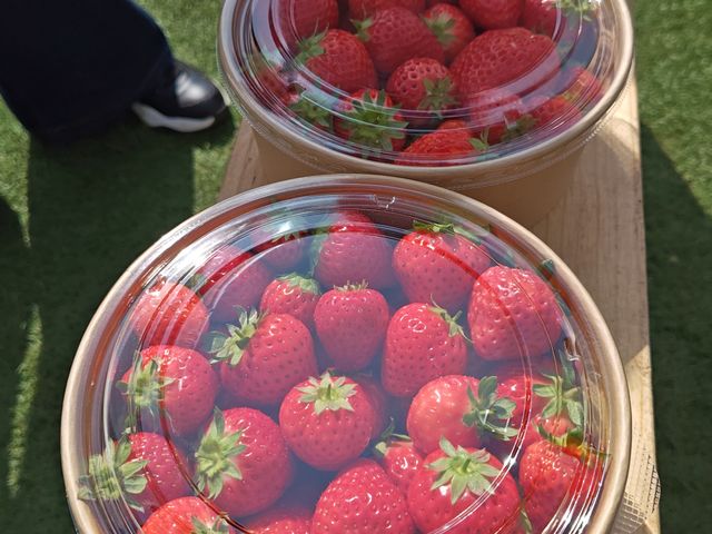 �咆���̃g���[���w���������悭�l�߂Ă����܂��B_Green Room