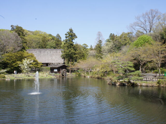 �ڒz���ꂽ�������肪�f���炵��_���R���A����