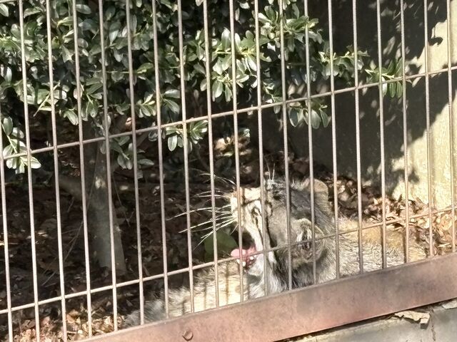 �傠���т���}�k���l�R_���R���A����