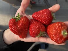 ���Â�䕉��̎ʐ^1