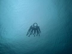 �}�����N���u Gigi�̎ʐ^1