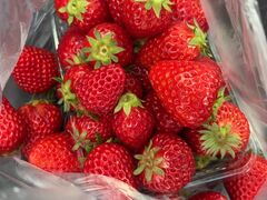 �������_�� MIYAFARM�̎ʐ^1