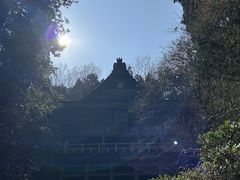 ���[����񂳂�̐������i�V�������n�s�j�ւ̓��e�ʐ^1