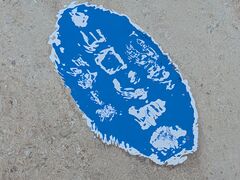 ���������V�[�}���Y�N���u�̎ʐ^1