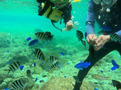 Diving house CHABA Gua�̎ʐ^1