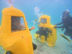 �v���o�̔��� ����C�̎ʐ^1