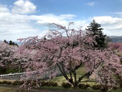 �������̑��w���e�C�W���̎R�̎ʐ^1