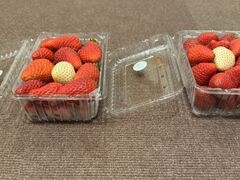 �݂܂����������̎ʐ^1