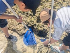 ��[��[����Ԃ̎ʐ^1