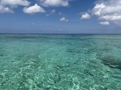 �I�[�V�����u���b�W����̎ʐ^1