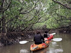 �O�����s���O���]�[�gStarOcean�̎ʐ^1