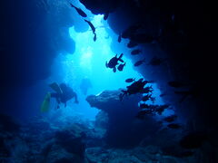 ONLYONE diving�̎ʐ^2