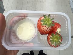 �_���N�o���Y�t�@�[���̎ʐ^1