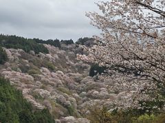 �g��A�E�g�h�A�N���uUP!�̎ʐ^1