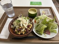 �z�e���֐��̎ʐ^1