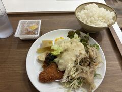 �z�e���֐��̎ʐ^4