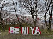 ZUNDAM����̍g������{���̓��e�ʐ^1