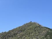 �Ƃ����񂳂�̉���隬�̓��e�ʐ^7