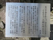 �Ԃ���񂳂�̎O�����S�̔�E���j�������g�̓��e�ʐ^2